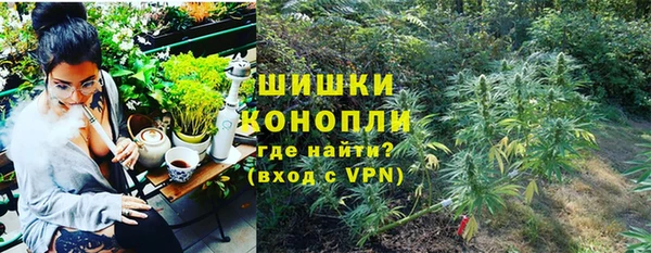 spice Белокуриха