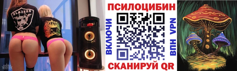 Галлюциногенные грибы Cubensis  что такое   Котлас 